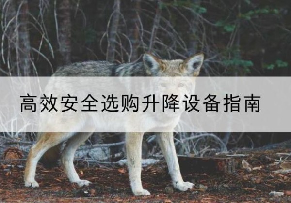 泾源升降货梯厂家推荐-*安全选购升降设备指南