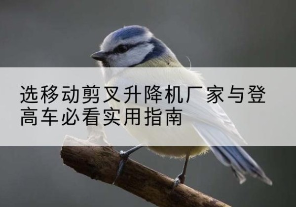 泾源电动升降机厂家-选移动剪叉升降机厂家与登高车必看实用指南