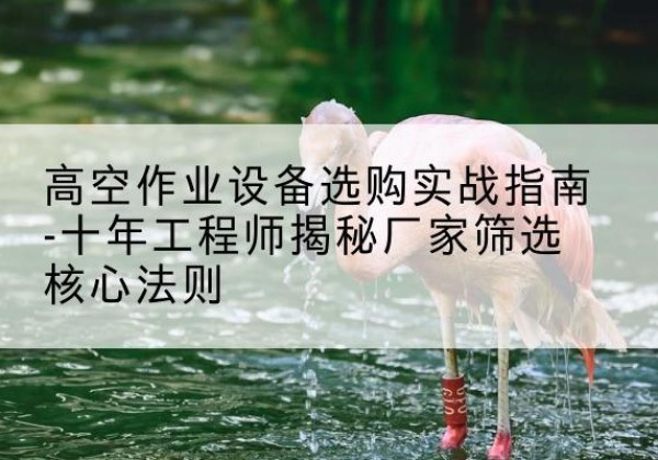 泾源剪叉式升降机厂家-高空作业设备选购实战指南-十年工程师揭秘厂家筛选核心法则